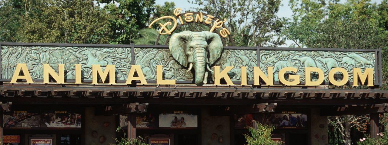 DisNeato Podcast Episode 3: Celebrating 20 Years of Animal Kingdom